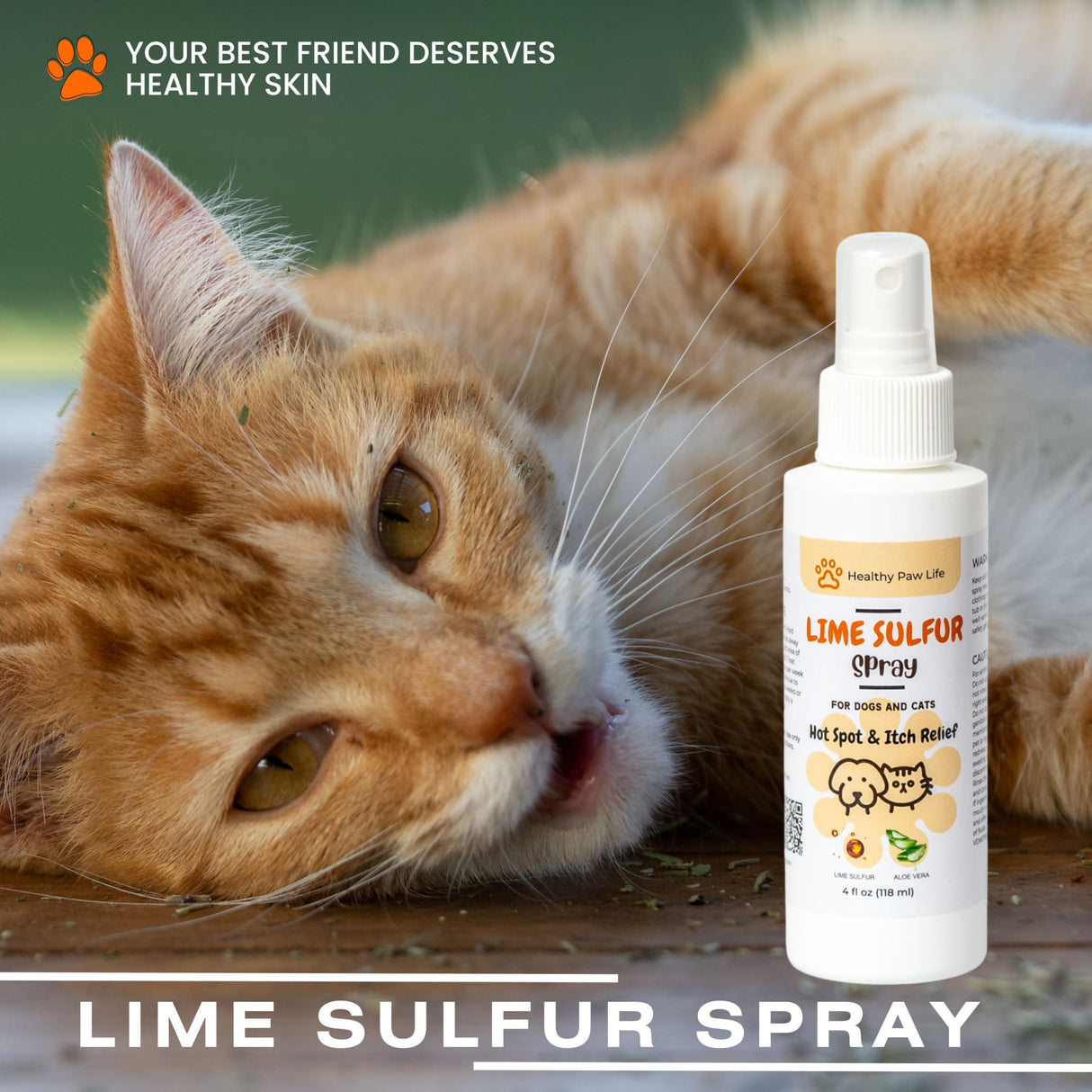 Classic's Lime Sulfur Dip Bundle - 2 Items: Classic's Lime Sulfur Cream (2 oz) and Classic's Lime Sulfur Spray (4 oz), 2 Piece Set