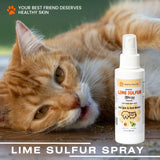 Classic's Lime Sulfur Dip Bundle - 2 Items: Classic's Lime Sulfur Cream (2 oz) and Classic's Lime Sulfur Spray (4 oz), 2 Piece Set