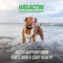 Load image into Gallery viewer, Nutramax Welactin Omega 3 Fish Oil for Dogs, Skin and Coat Health Supplement, Plus Immune and Overall Health, Premium Omega 3 Fatty Acids, Multivitamin For Dogs, Soft Chews, 60 Count
