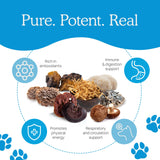 Real Mushrooms Whole Dog Health – Functional Mushroom Blend for Dogs with Lion’s Mane, Cordyceps, Turkey Tail, Reishi, Shiitake for Overall Wellbeing of Dogs – 2.65 oz Powder Supplement