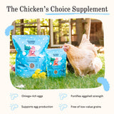 Grubbly Farms Omega Mix Chicken Treats for Laying Hens - Superfood and Omega-Rich Chicken Feed Supplement to Support Egg Production, Strong Eggshells and Nutritious Yolks - 5LB