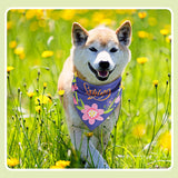 Bulyoou 500 Pcs Summer/Spring Dog Bandanas Bulk Adjustable Dog Bandanas for Groomers Hawaiian Washable Pets Scarf Bibs Costume Accessories for Small to Large Pets Grooming Supplies(Spring)