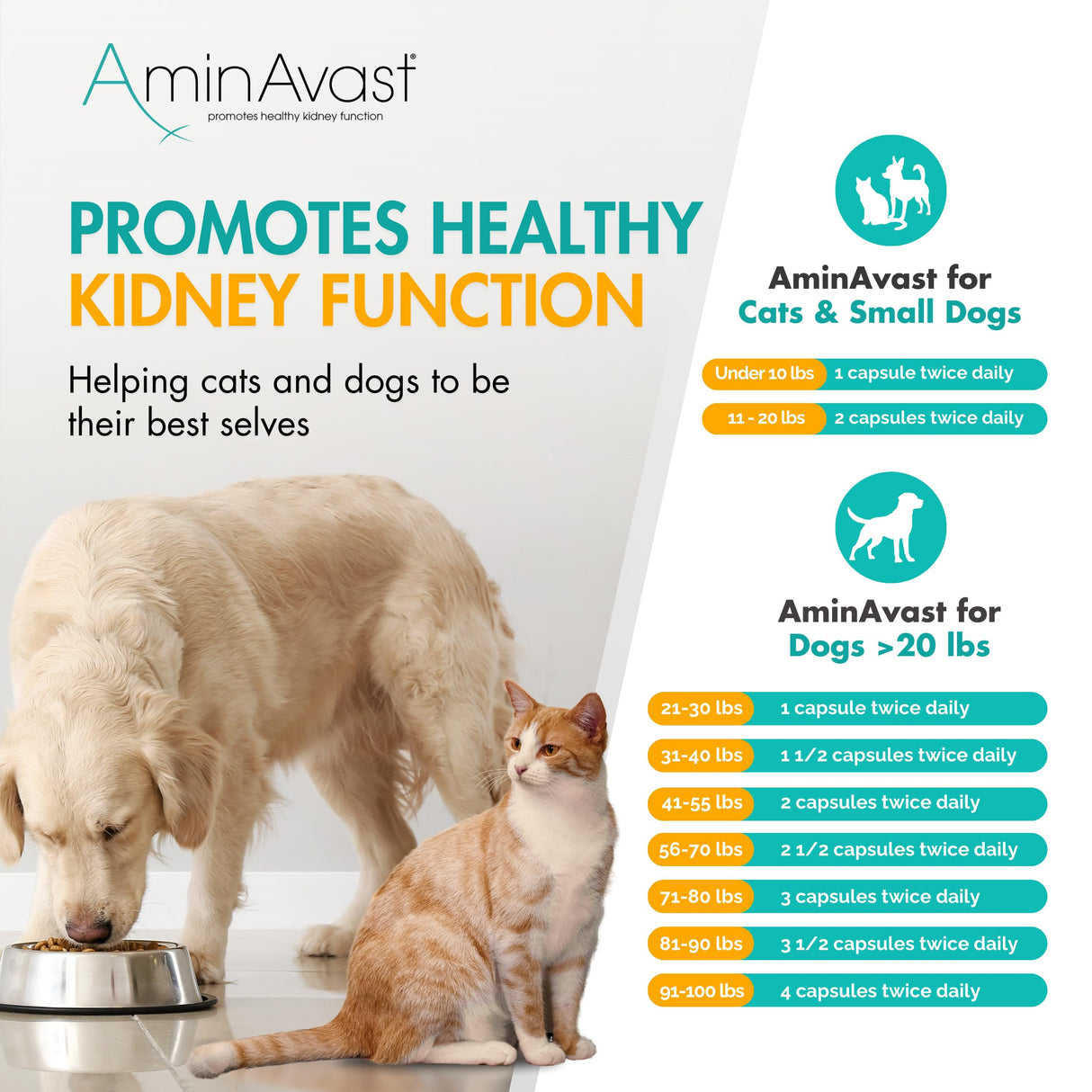 AminAvast Kidney Support Supplement for Cats and Small Dogs, 300mg 2-Pack - Promotes Natural Kidney Function - Aids in Health and Vitality of Aging Kidneys - Easily Administered - 60 Sprinkle Capsules