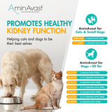 AminAvast Kidney Support Supplement for Cats and Small Dogs, 300mg 2-Pack - Promotes Natural Kidney Function - Aids in Health and Vitality of Aging Kidneys - Easily Administered - 60 Sprinkle Capsules