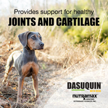 Load image into Gallery viewer, Nutramax Laboratories Dasuquin with MSM Chewable Tablets For Small/Medium Dog
