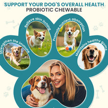 Load image into Gallery viewer, Probiotics for Dogs Gut Digestive Health Probiotic Chew for Dogs Digestive Enzymes Relieve Diarrhea Immunity Oral Problems Itching Constipation Prebiotics Dog Probiotics 200 Tablets Chicken Flavor
