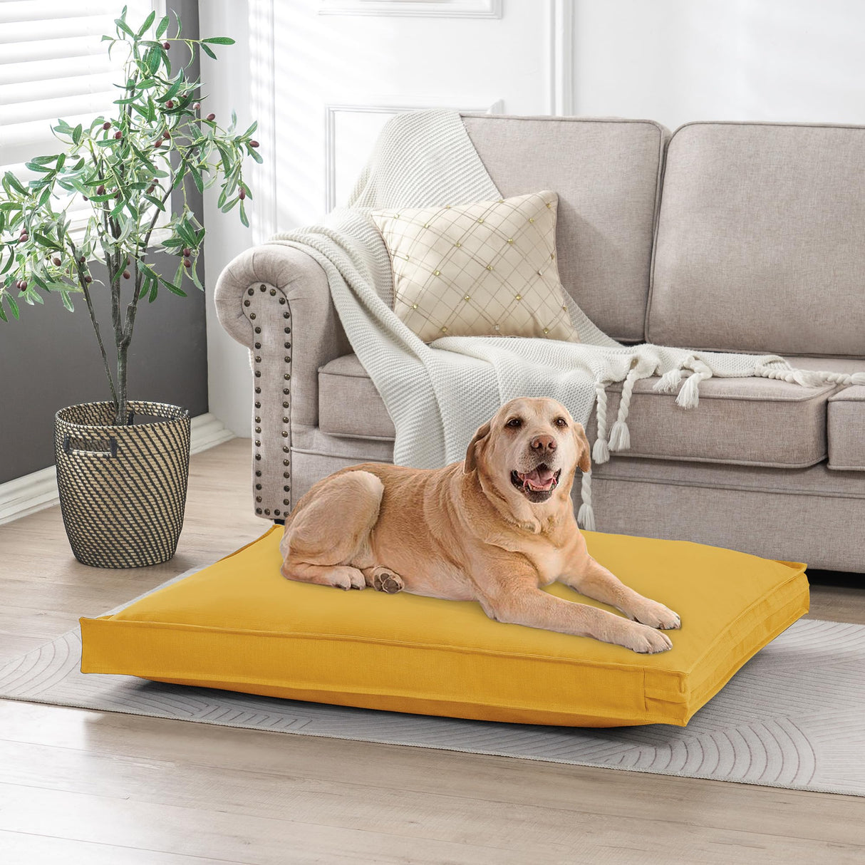 VENESSCO Dog Bed Covers Replacement Washable, Waterproof Dog Bed Cover with Zipper, 44Lx32Wx3H inch Durable Oxford Pet Bed Cover for Outdoor/Indoor Use, Cover Only, Yellow