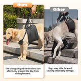 NOYAL Dog Lift Harness Sling - Adjustable Pet Carrier for Senior Dogs with Arthritis Joint Injuries, Emergency Support Rehabilitation Aid for Nail Trimming, Stairs Assistance