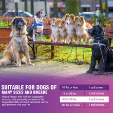 Load image into Gallery viewer, Glucosamine for Dogs 200pcs Joint Support Supplement Dog Hip and Joint Chondroitin Chews Treats with MSM Dog Joint Pain Relief Mobility Supplements Chicken Flavor Fit All Large Small Medium Breed
