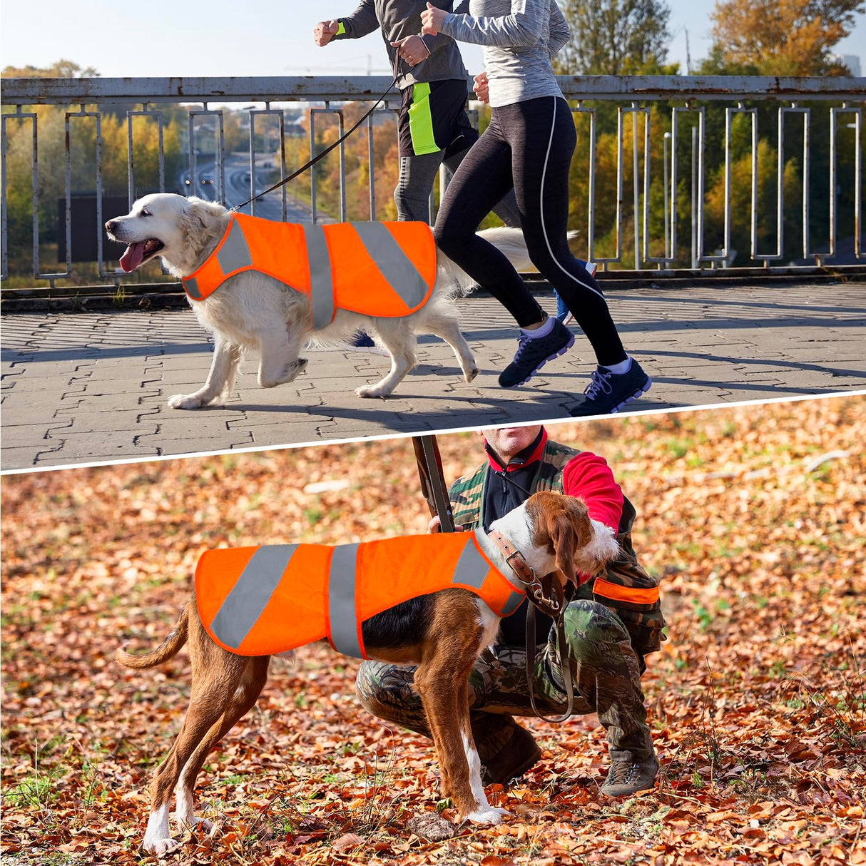 Orange High Visibility Safety Dog Vest, Hunting Jacket, Adjustable Soft Reflective Coat for Small Medium Large Dogs