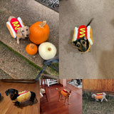 ISMARTEN Hot Dog Pet Costume, Fun Food Halloween Dog Cosplay, Christmas Costumes for Small Dogs, Puppies & Cats (Large, Red & Yellow)