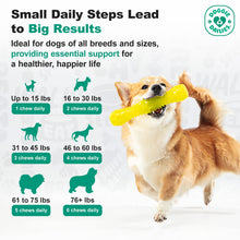 Load image into Gallery viewer, Doggie Dailies, Hip and Joint Supplement for Dogs, Glucosamine Chondroitin, Premium Hip and Joint Chews for Dogs All Breeds &amp; Sizes, Dog Vitamins and Supplements, (Chicken) 225 Chews
