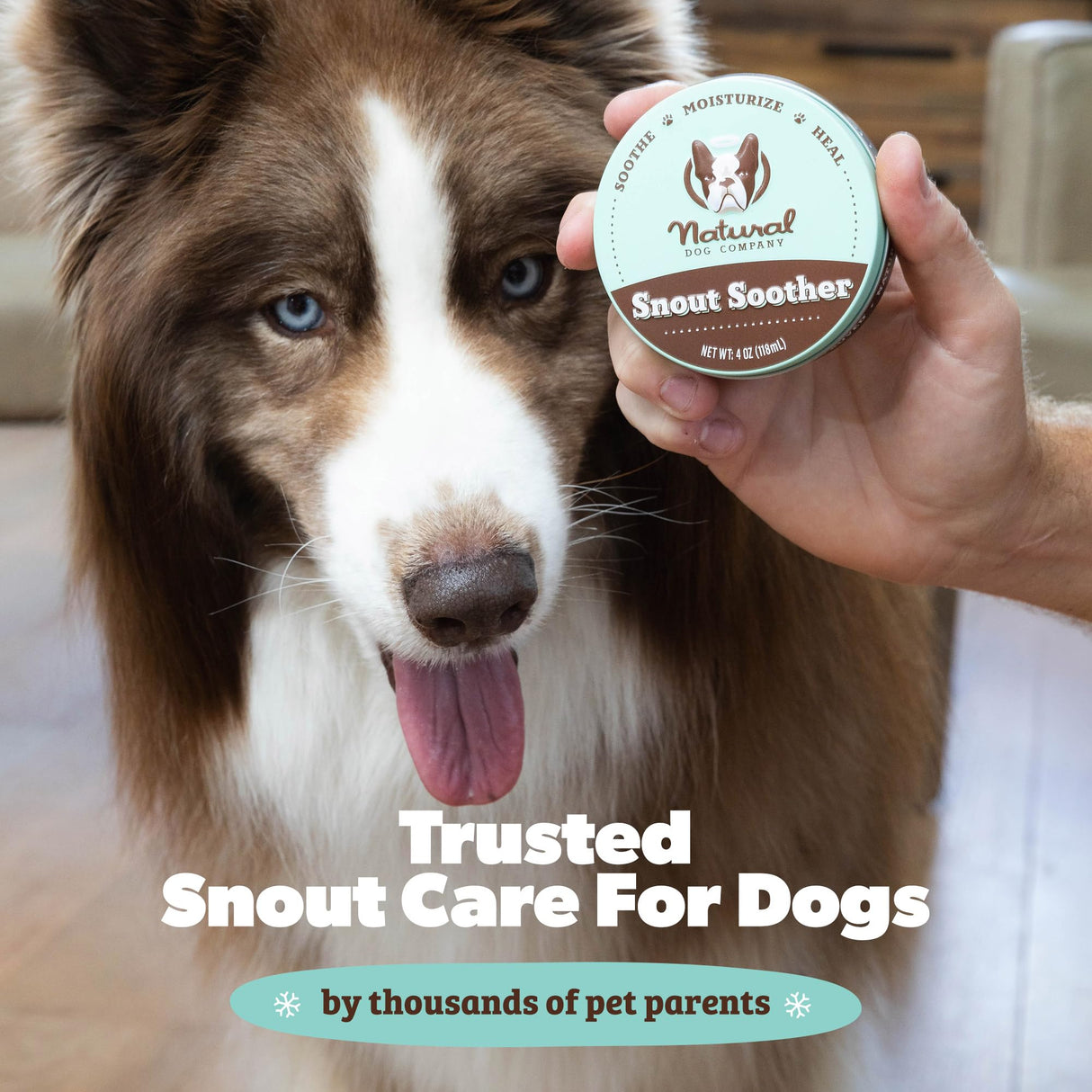 Natural Dog Company Snout Soother Balm Tin 1 oz – All Natural Dog Nose Balm for Dry, Cracked Noses – Organic Moisturizing & Soothing Balm – Lick-Safe Nose Care, Made in USA