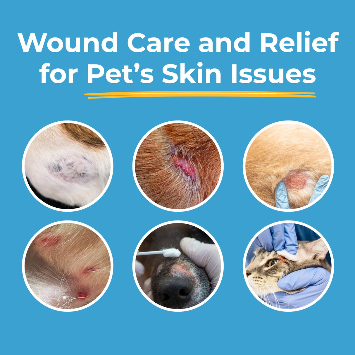 Silverquine Dog Wound Care Gel - Hot Spot Gel Solution for Dogs and Cats - Safe If Licked, Odorless Silver Hydrogel Ointment for Pets Cuts, Burns, Scratches, Sores and Skin Concerns - 1.5 Oz