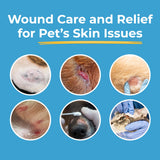 Silverquine Dog Wound Care Gel - Hot Spot Gel Solution for Dogs and Cats - Safe If Licked, Odorless Silver Hydrogel Ointment for Pets Cuts, Burns, Scratches, Sores and Skin Concerns - 1.5 Oz