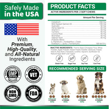 Load image into Gallery viewer, Dog Allergy Relief Chews - Dog Itching Skin Relief Treatment Pills - 170 Treats - Anti-Itch - Itchy and Paw Licking - Hot Spots - Omega 3 Fish Oil - Dry Skin &amp; Coat Supplement - Beef Liver Flavor
