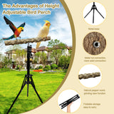 Arfubye 16-63 Inch Height Adjustable Bird Perch Pepper Wood Bird Training Perch Stand Parakeet Perches Indoor and Outdoor Parrot Stands for Small to Medium Bird