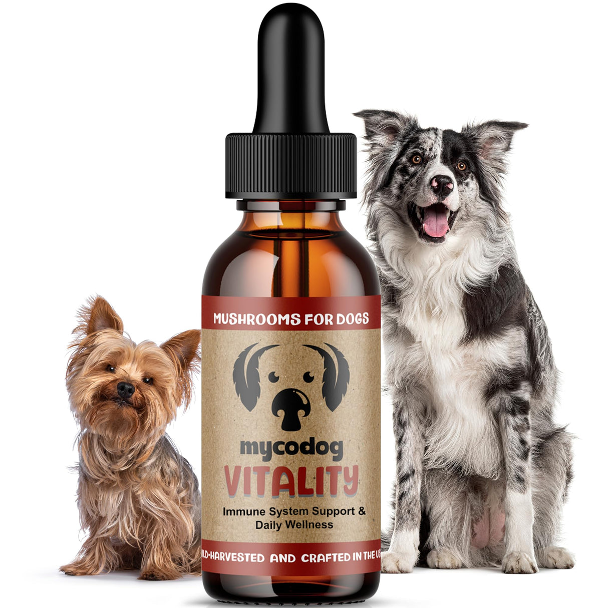 MycoDog Vitality - Mushroom & Adaptogen Supplement for Dogs - Immune Health, Senior Dog, & Daily Wellness Support - Turkey Tail Mushroom for Dogs, Reishi, Chaga