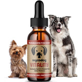 MycoDog Vitality - Mushroom & Adaptogen Supplement for Dogs - Immune Health, Senior Dog, & Daily Wellness Support - Turkey Tail Mushroom for Dogs, Reishi, Chaga