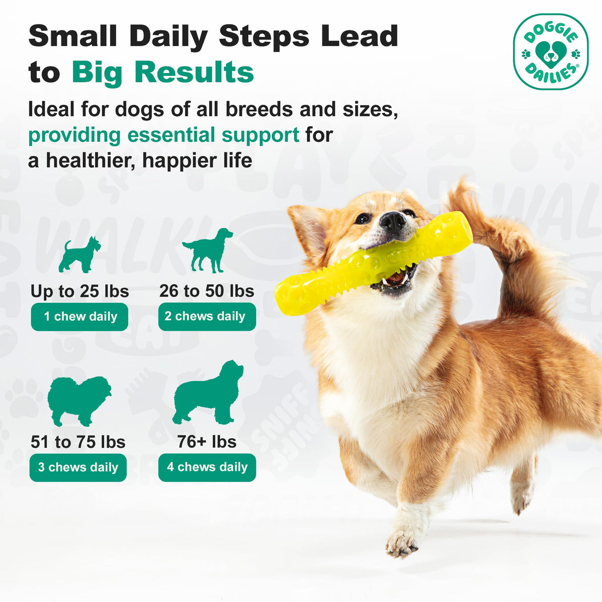 Doggie Dailies Skin & Coat Supplement Support, Salmon Oil for Dogs Skin and Coat with Collagen, Omega 3, Krill Oil, Biotin, & Coconut Oil for Dogs (Salmon) 225 Soft Chews