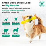 Doggie Dailies Skin & Coat Supplement Support, Salmon Oil for Dogs Skin and Coat with Collagen, Omega 3, Krill Oil, Biotin, & Coconut Oil for Dogs (Salmon) 225 Soft Chews