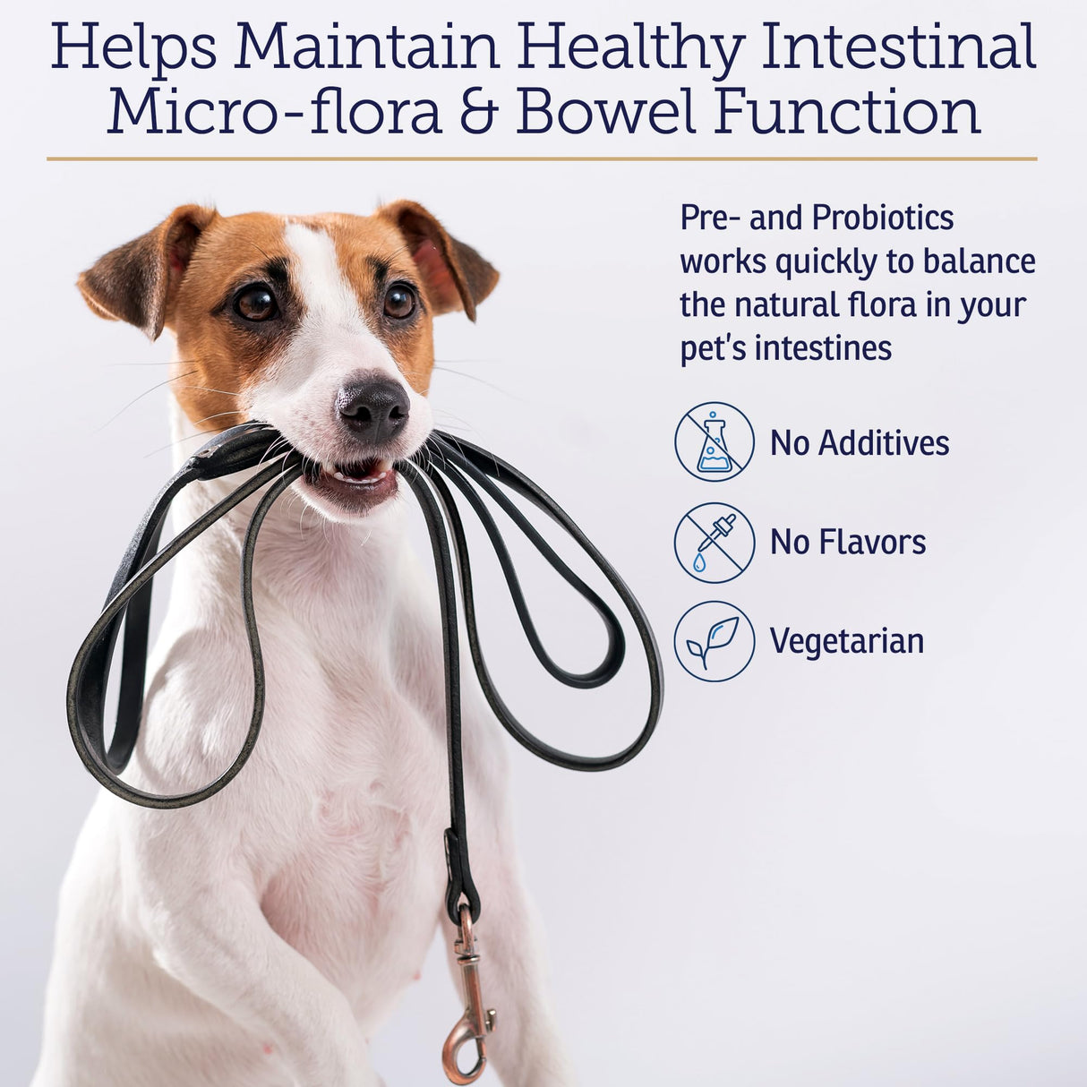 Rx Vitamins Rx Biotic - Probiotic Powder for Dogs and Cats - Cat Digestive Support & Probiotic for Dogs Gut Health - Dog Probiotics for Digestive Health - 1.25oz