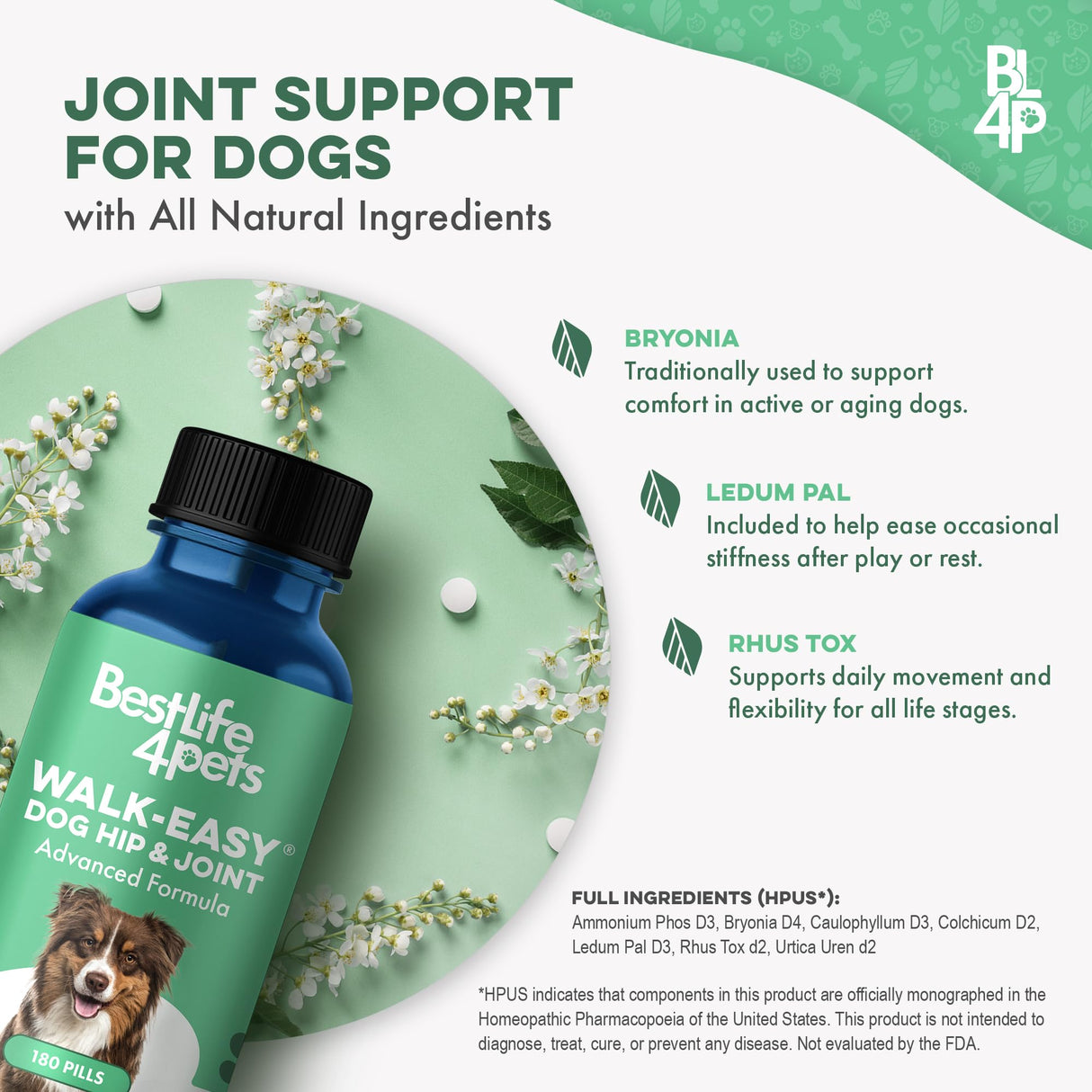 Large Breed Hip and Joint Supplement for Dogs - Premium Natural Joint Support and Mobility Relief Helps Ease Stiffness so Senior Dogs can Climb Stairs, Walk Pain Free and Play Again (180 Tiny Pills)
