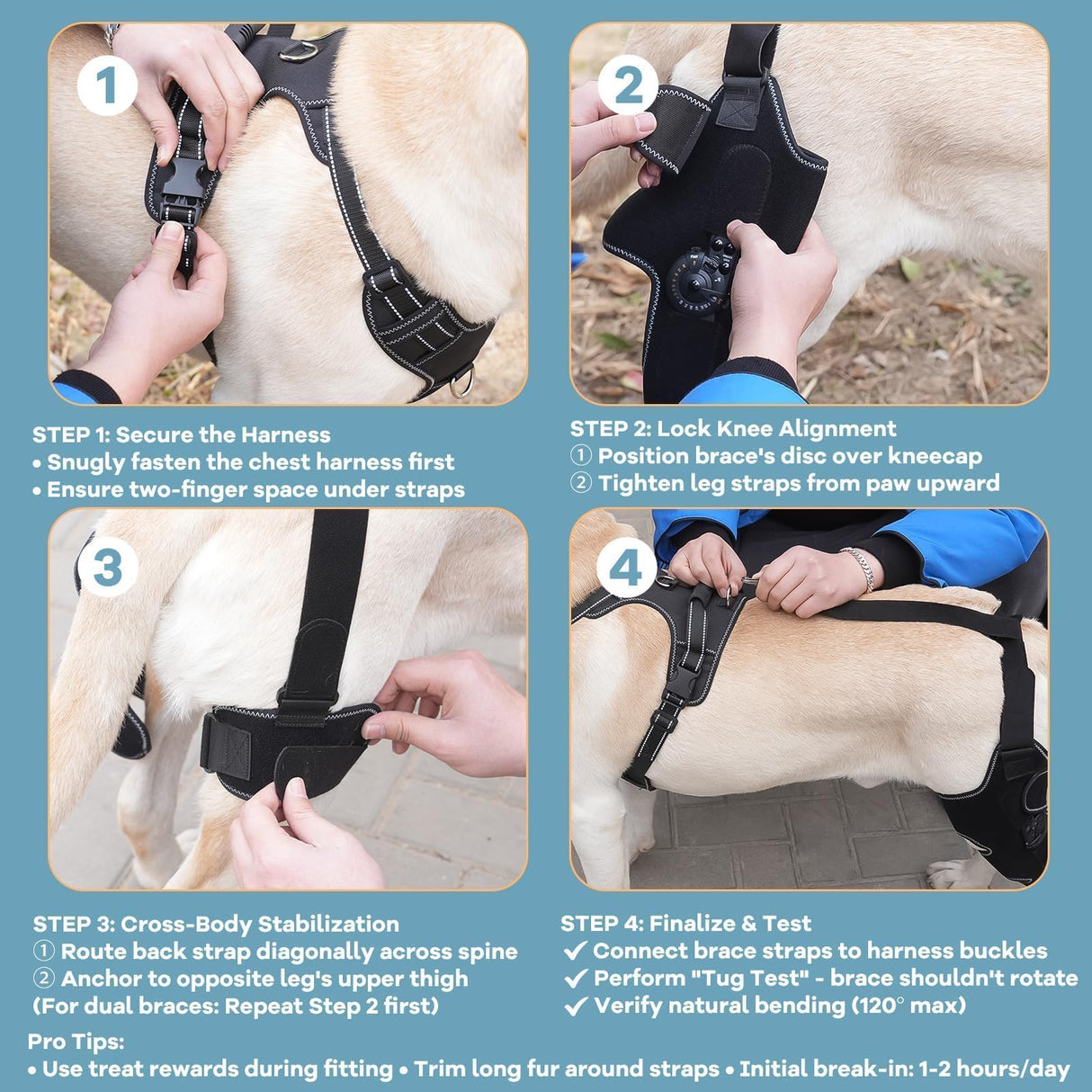 FurWell Dog Knee Brace with Adjustable Support – ACL & CCL Tear Recovery, Post-Surgery Stabilization, Mobility Aid for Rear Legs – Includes Secure Chest Harness for Dogs(Both Legs,L)