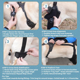 FurWell Dog Knee Brace with Adjustable Support – ACL & CCL Tear Recovery, Post-Surgery Stabilization, Mobility Aid for Rear Legs – Includes Secure Chest Harness for Dogs(Both Legs,L)