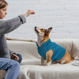 6 Pack Winter Dogs Sweater for Small Dogs Warm Clothes Fleece Vest with Leash Ring Sleeveless Dog Jacket for Little Medium Puppy Pet Unisex(Medium,Bright Colors)