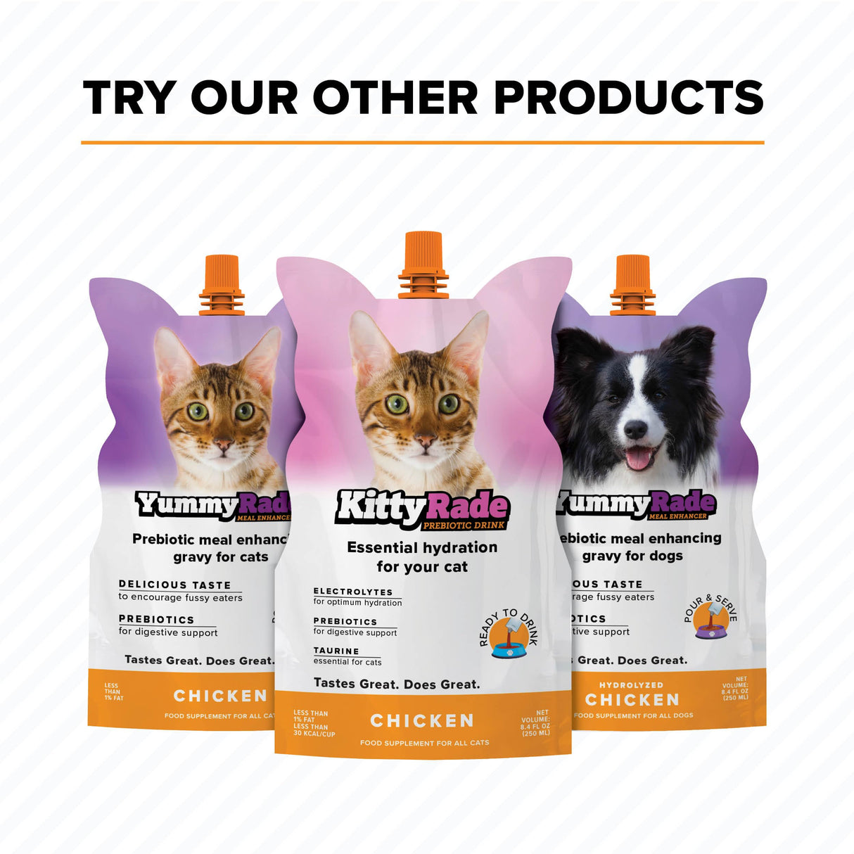 DoggyRade – Dog Sports Drink (Prebiotic, Isotonic Drink for Dogs) | Electrolytes, Nutrients & Amino Acids | Quick Hydration Drink for Dogs + Low Cal | More Than Just Water! | Chicken Flavor | 3x250ml