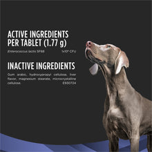 Load image into Gallery viewer, Purina Pro Plan Veterinary Supplements FortiFlora Probiotics for Dogs Chewable Tablets for Digestive Gut Health and Diarrhea - 45 ct. Canister
