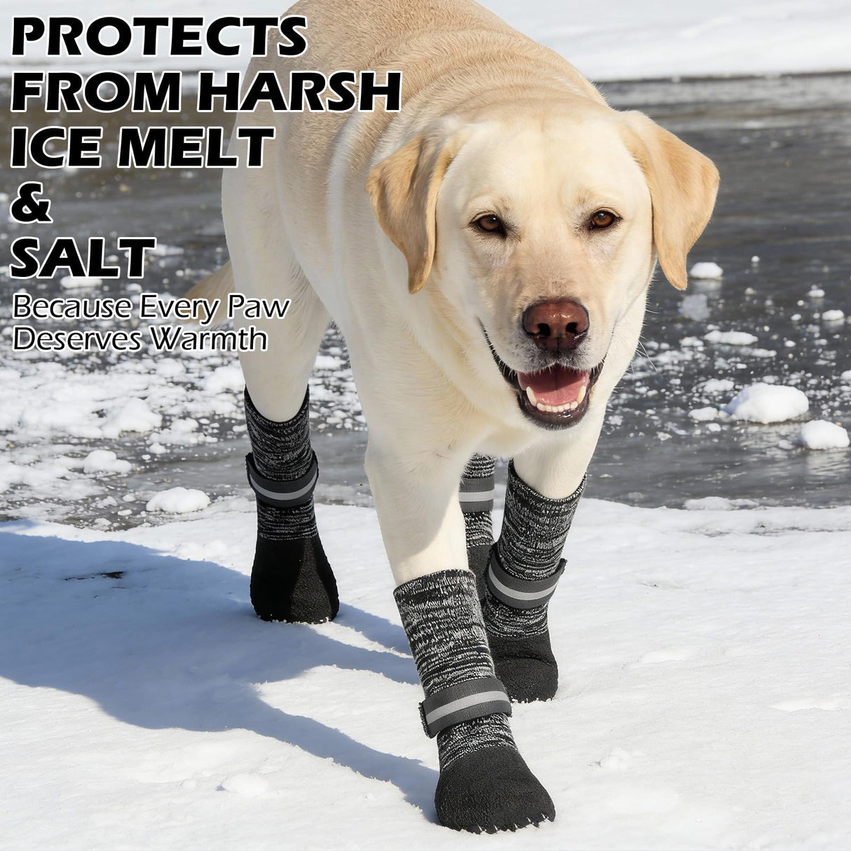 EXPAWLORER Anti Slip Dog Socks to Prevent Licking Paws, Shoes for Winter Snow, Boots & Paw Protectors with Grippers, Waterproof Booties for Hardwood Floors for Small Medium Large Senior Dogs Black S