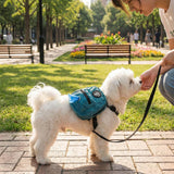 FLAdorepet Dog Backpack Harness with Leash, Dog Poop Bag Dispenser, Pet Self Carrier Adjustable Travel Hiking Walking Harness Backpack for Small Medium Dogs (L(Fit:10-15lb), Blue)