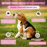 Wagmee Allergy Relief Drops for Dogs, Dog Itchy Skin Relief with Fish Oil, Omega-3, Turmeric & Natural Anti Itch for Dogs Ears & Paw Relief - Dog Seasonal Allergies, Skin & Coat Immune Supplement