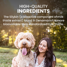 Load image into Gallery viewer, Nutramax Laboratories Denamarin Liver Health Supplement for Large Dogs - With S-Adenosylmethionine (SAMe) and Silybin, 30 Tablets(Pack of 1)
