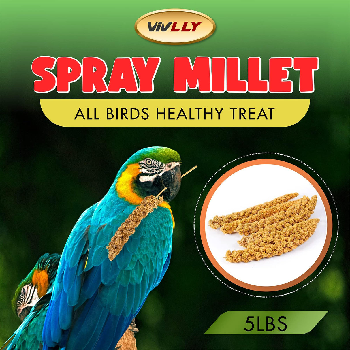Vivlly 5LBS GMO-Free Sun Dried Spray Millet - Original Bird Treat Millet for Parakeets, Cockatiels, Finches & More - Non-GMO, High in Amino Acids, Easy Storage, Tasty & Healthy Bird Snacks (5 lbs)