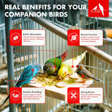 Morning Bird Calcium Plus Powder for Birds 2 oz – Calcium Supplement with Vitamin & Protein Powder – Supports Bone Health, Muscle Function & Digestive Balance – Easy-to-Mix Calcium Formula