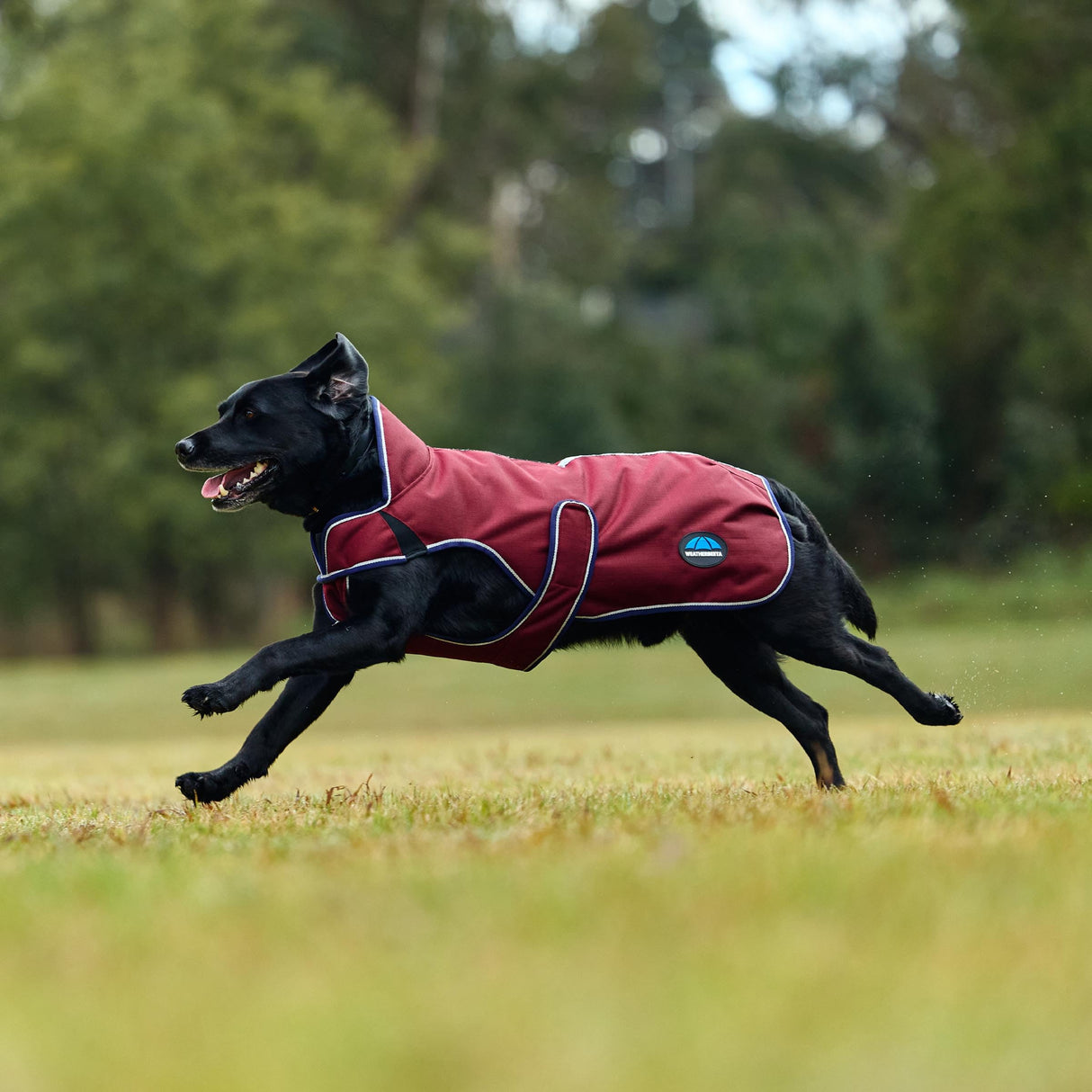 WeatherBeeta ComFiTec Premier Deluxe Waterproof Dog Coat, Burgundy/Navy, 30"