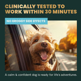 VetriScience Calm & Confident Chews, Composure Clinically Tested Calming and Anxiety Supplement for Dogs, Reduce Stress and Fear, Ideal for Thunderstorms, Fireworks and Travel, Bacon, 120 Count