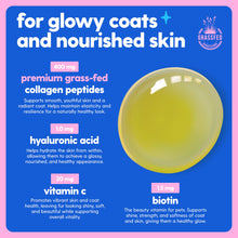 Load image into Gallery viewer, Taily Collagen for Dogs Skin and Coat Supplement, Cats | Taily Liquid Premium Grass-fed Collagen | Itch Relief for Dogs with Allergies, Biotin, Vitamin C and Hyaluronic Acid | Made in USA
