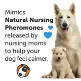 ThunderEase Calming Anti Anxiety Pheromone Collar for Dogs (Large)