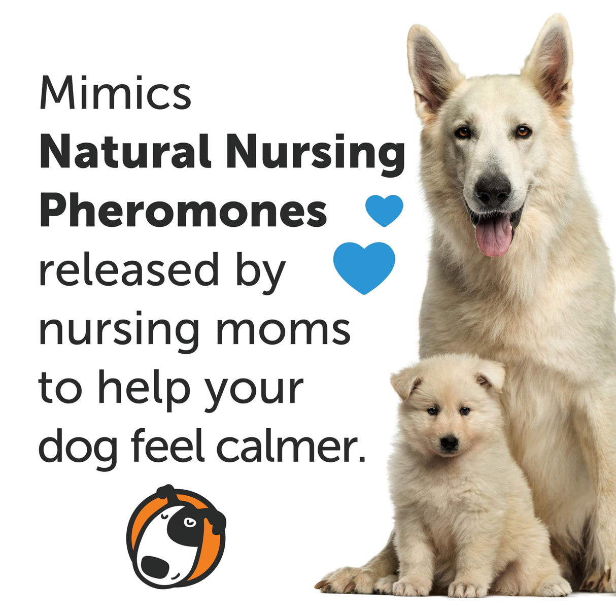 ThunderEase Calming Anti Anxiety Pheromone Collar for Dogs (Small)
