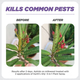 Earth's Ally 3-in-1 Plant Spray Concentrate | Insecticide, Fungicide & Spider Mite Control, Use on Indoor and Outdoor Plants, Gardens & Trees - Insect & Pest Repellent, 8oz, Super Concentrate
