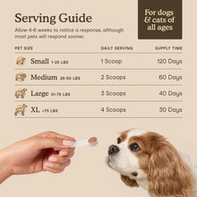 Load image into Gallery viewer, Fera Pets Mushroom Supplement for Dogs &amp; Cats with Turkey Tail - USDA Organic - Cognitive and Immune Support - Enhances Liver Function - Supports a Healthy Gut - Powder - 120 Scoops
