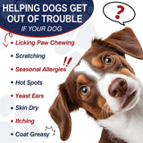 200 Treats, Dog Allergy Chews Immune Support Dogs Dog Allergy and Itching Skin Relief Bites Probiotics for Yeast, Itchy Skin and Itchy Ears Anti Itch Licking Paws Treatment for Dogs Seasonal Allergies