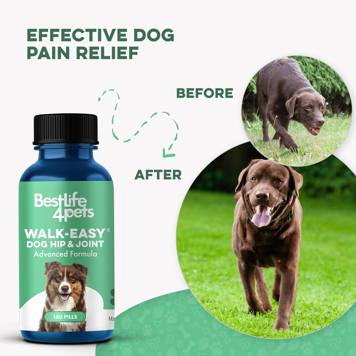 Large Breed Hip and Joint Supplement for Dogs - Premium Natural Joint Support and Mobility Relief Helps Ease Stiffness so Senior Dogs can Climb Stairs, Walk Pain Free and Play Again (180 Tiny Pills)