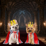 GOYOSWA Dog King Costume, Dog Halloween Costumes King Cloak and Crown Set Funny King Prince Costume for Small Medium Large Dogs (Small)