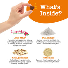 Load image into Gallery viewer, Zesty Paws Cranberry Supplement for Dogs - Bladder Control for Dogs - Urinary Tract Support - Cranberry Chews with D-Mannose, Vitamin B6 &amp; L-Arginine - Immune &amp; Gut Support - Bacon - 90 Count
