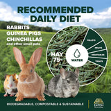 Eaton Pet and Pasture Naturally Grown, Premium, 1st Cut Blend, Western Timothy Hay Orchard Blend, Small Animal Food, Sustainable, Eco-Friendly, Farmer-Owned, 25LB-Box.